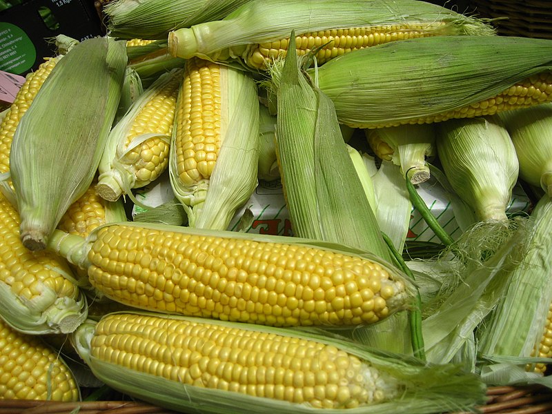 China nears commercial cultivation of GMO corn and soybeans with 37 corn varieties and 14 soybean Varieties Approval